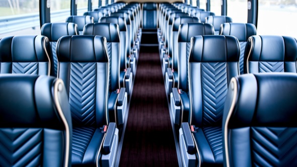 champaign 56 passenger charter bus rental