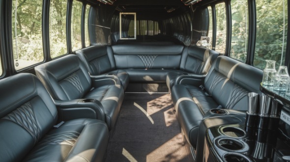 champaign sprinter limo rental rental